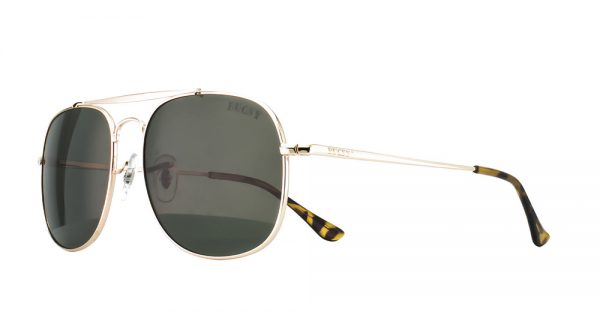BUGSY 5095 C1